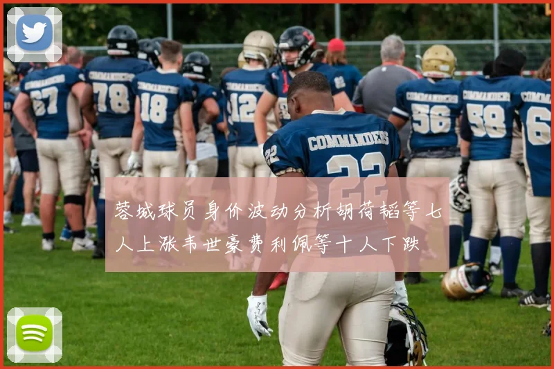 蓉城球员身价波动分析胡荷韬等七人上涨韦世豪费利佩等十人下跌