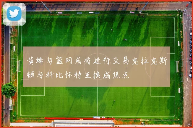 黄蜂与篮网或将进行交易克拉克斯顿与科比怀特互换成焦点